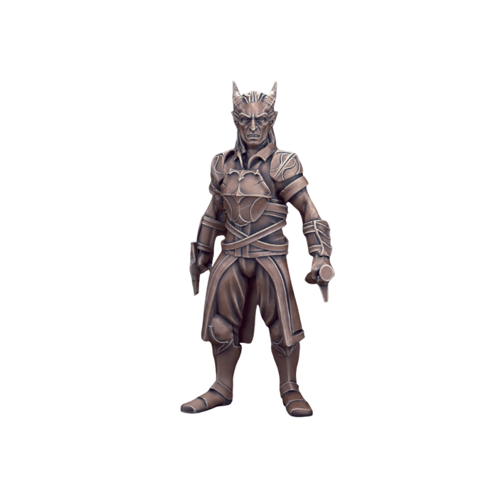Tiefling Male Fighter, 12k Resin Dungeons and Dragons DnD Miniatures D&D Mini 32mm Lot
