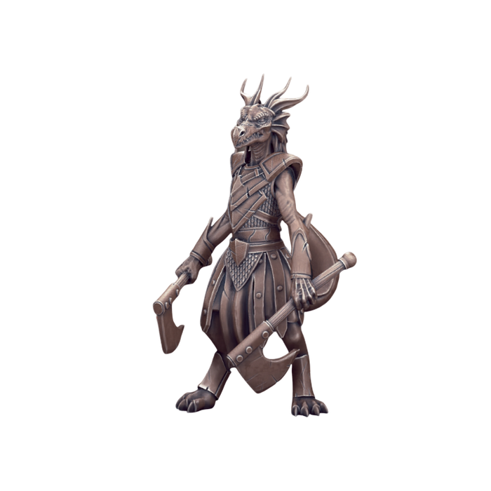 Dragonborn Female Fighter, 12k Resin Dungeons and Dragons DnD Miniatures D&D Mini 32mm Lot