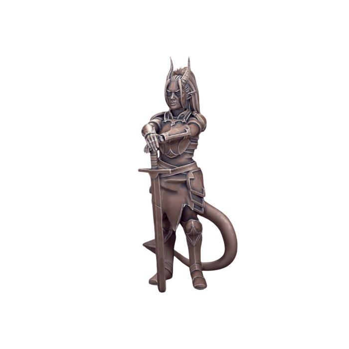 Tiefling Female Fighter, 12k Resin Dungeons and Dragons DnD Miniatures D&D Mini 32mm Lot