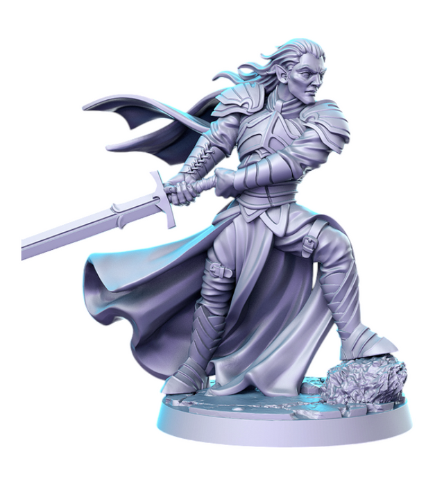 Levariel Elven Knight, 14k Resin Dungeons and Dragons DnD Miniatures D&D Mini