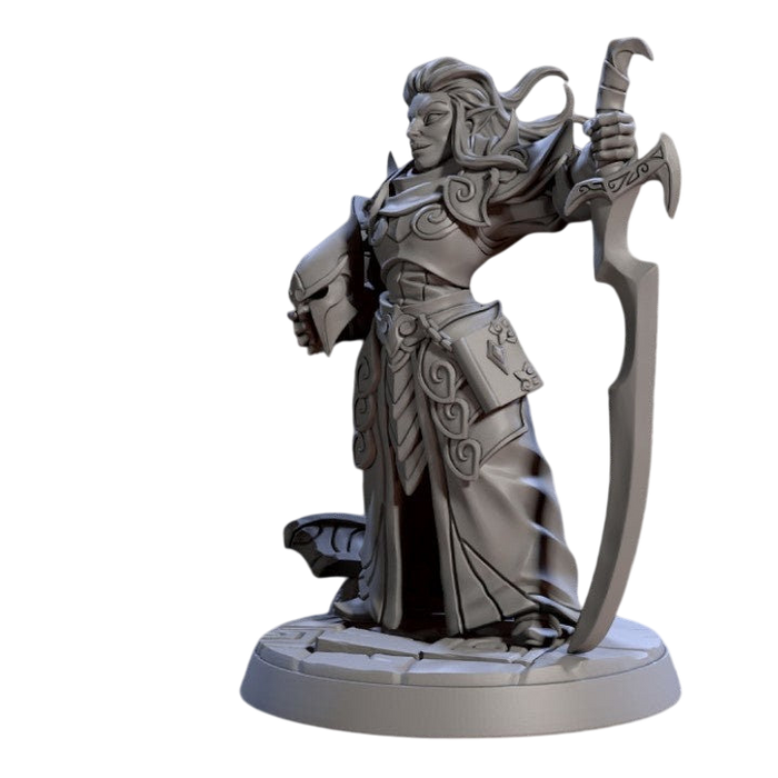 Eliora Knight, 12k Resin Dungeons and Dragons Miniatures DnD D&D Mini 32mm Lot