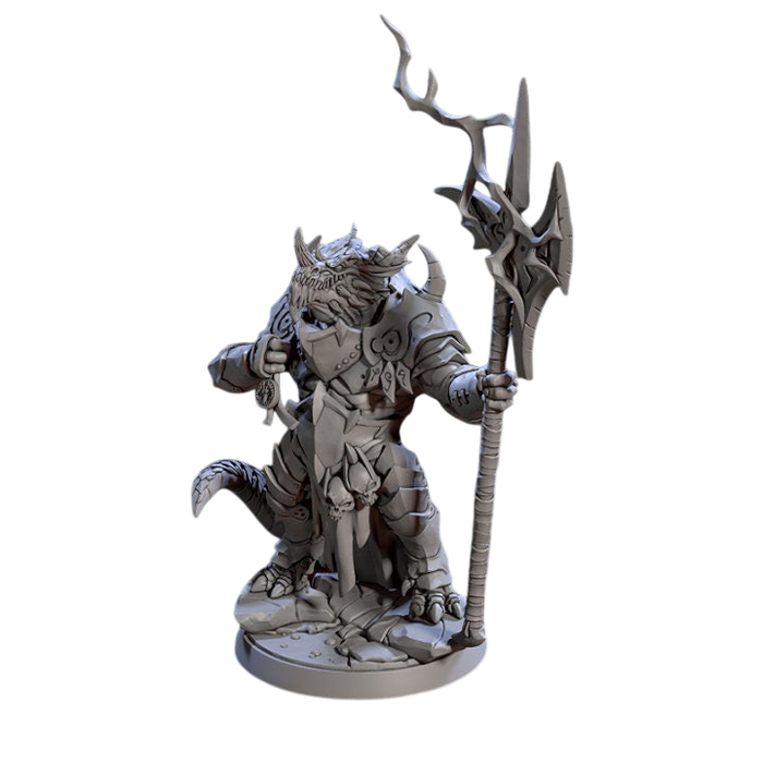 Draconian Commander Drakvarr, 12k Resin Dungeons and Dragons Miniatures DnD D&D Mini 32mm Lot
