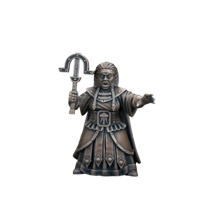 Dwarf Female Cleric, 12k Resin Dungeons and Dragons DnD Miniatures D&D Mini 32mm Lot