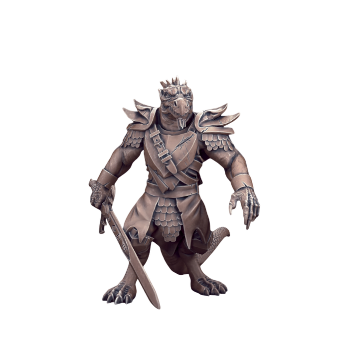 Dragonborn Male Fighter, 12k Resin Dungeons and Dragons DnD Miniatures D&D Mini 32mm Lot