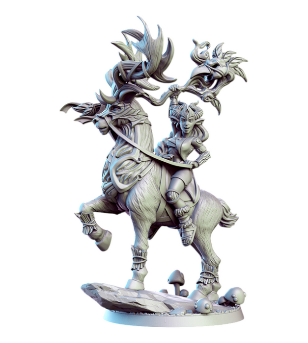 Bronwin, 14k Resin Dungeons and Dragons DnD Miniatures D&D Mini 32mm