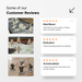 customer reviews of a product, specifically a set of miniature figures. The reviews are divided into three sections, each with a different rating and description. The reviews seem to be positive, with the customers expressing their satisfaction with the quality and appearance of the miniature figures.