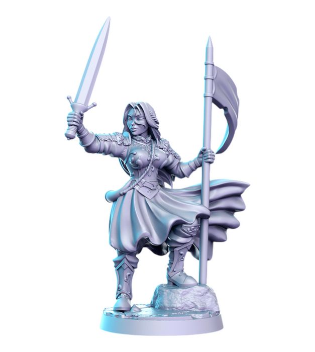 Aegwynne Battlemaiden, 14k Resin Dungeons and Dragons DnD Miniatures D&D Mini