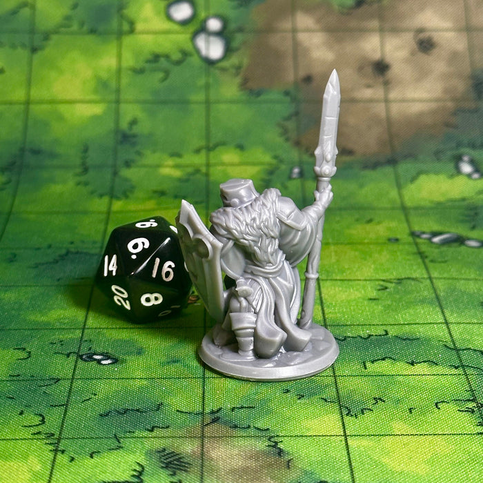 Paladin Male 02, 12k Resin Dungeons and Dragons Miniatures DnD D&D Mini 32mm Lot