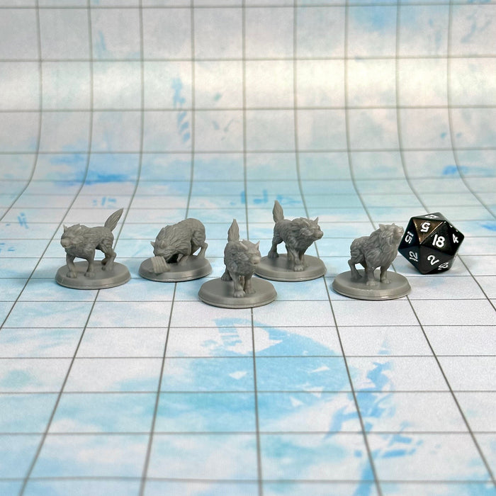 Wolf Pack (Set of 5), 12k Resin Dungeons and Dragons Miniatures DnD D&D Mini 32mm Lot