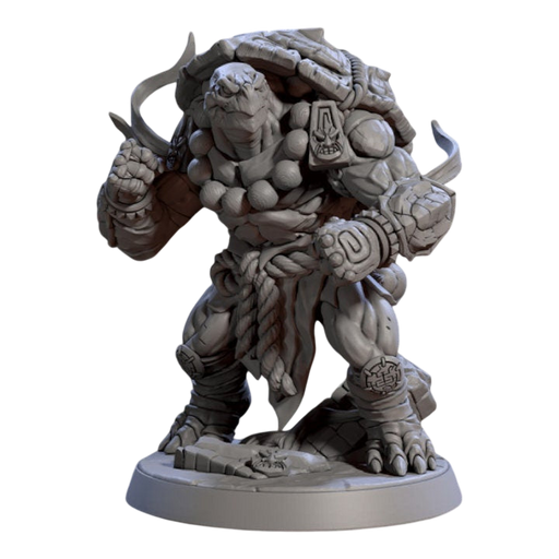 Tsook Raging Wrath Turtlekin, 12k Resin Dungeons and Dragons Miniatures DnD D&D Mini 32mm Lot