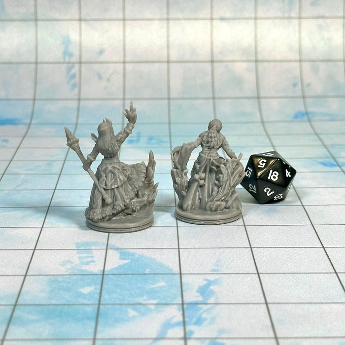 Ice Witch and Queen (Set of 2), 12k Resin Dungeons and Dragons Miniatures DnD D&D Mini 32mm Lot