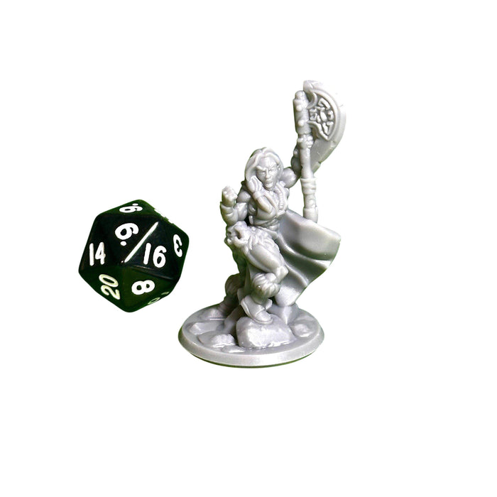 Barbarian Female 02, 12k Resin Dungeons and Dragons Miniatures DnD D&D Mini 32mm Lot