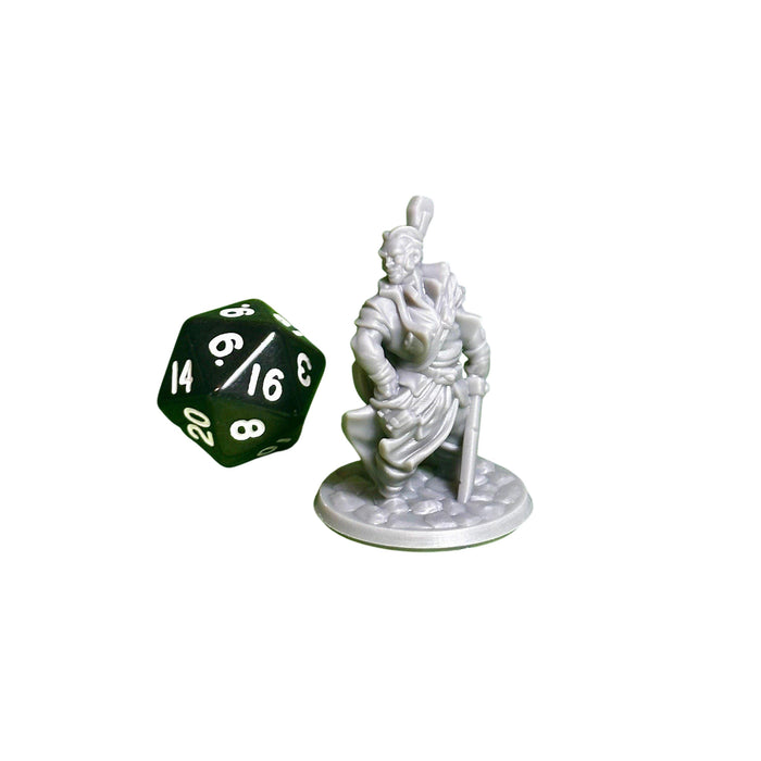 Bard Male 02, 12k Resin Dungeons and Dragons Miniatures DnD D&D Mini 32mm Lot