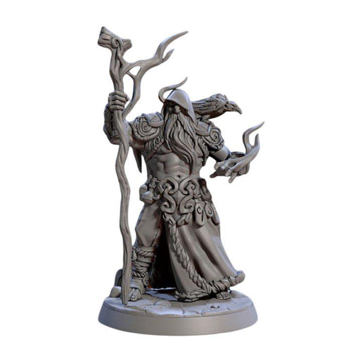 Skutagaard Northmen Wodan the Allseer, 12k Resin Dungeons and Dragons Miniatures DnD D&D Mini 32mm Lot