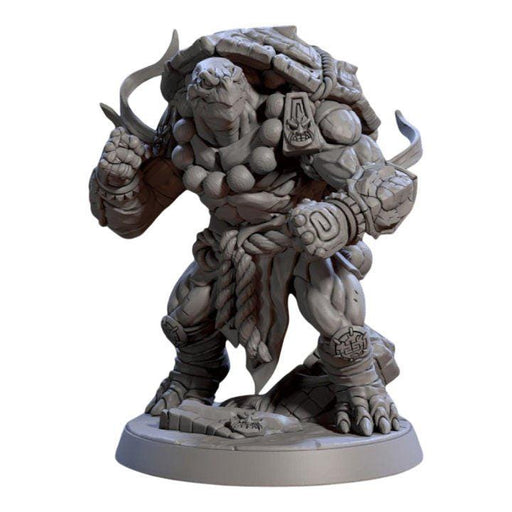 Tsook Raging Wrath Turtlekin, 12k Resin Dungeons and Dragons Miniatures DnD D&D Mini 32mm Lot