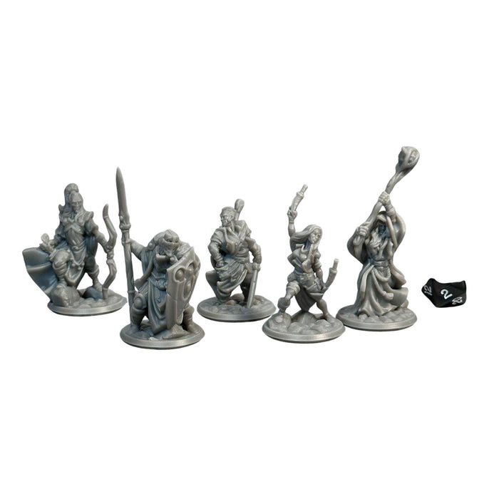 Adventuring Heroes (Set of 5), 12k Resin Dungeons and Dragons Miniatures DnD D&D Mini 32mm Lot