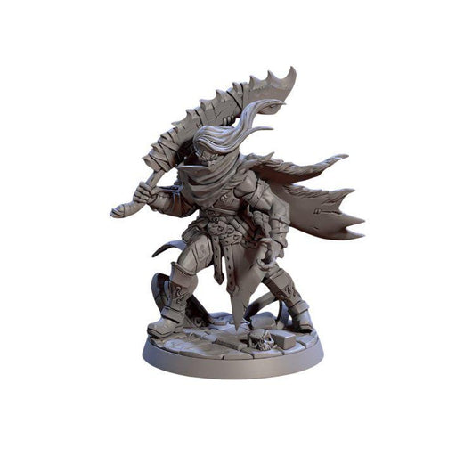 Requiem Demon Hunter Fenrir, 12k Resin Dungeons and Dragons DnD Miniatures D&D Mini 32mm Lot