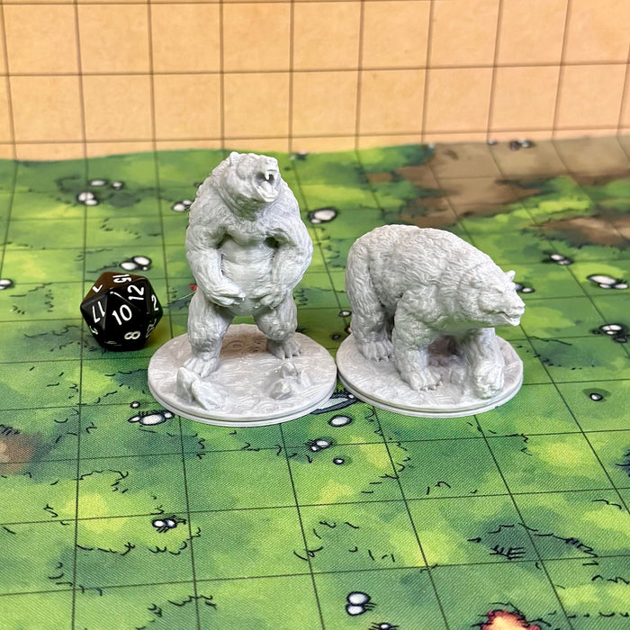 Large Bears (Set of 2), Dungeons and Dragons Miniatures DnD D&D Mini 32mm Lot Painted Color