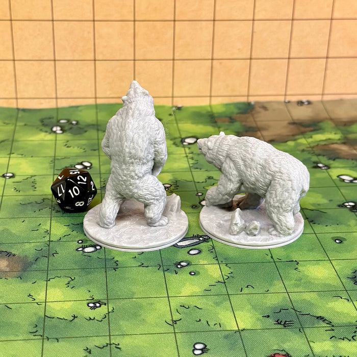Large Bears (Set of 2), Dungeons and Dragons Miniatures DnD D&D Mini 32mm Lot Painted Color